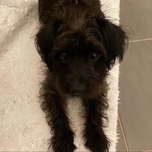 Meet your Posher, Danni